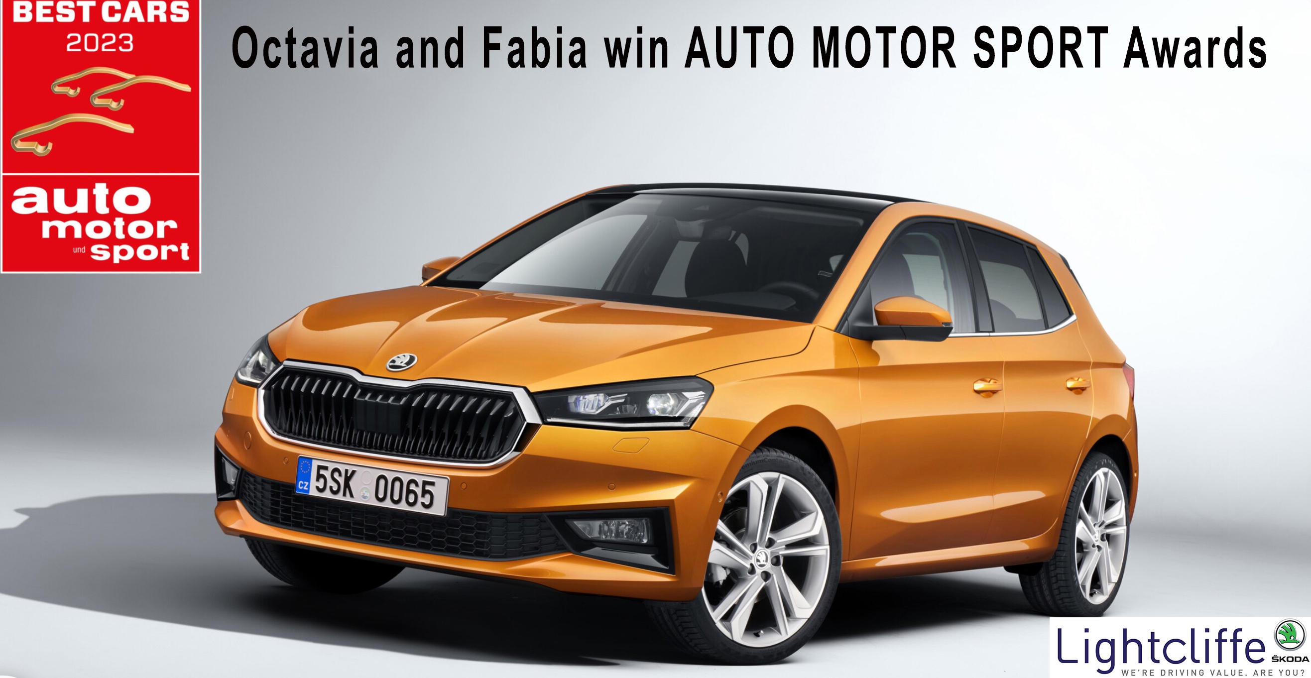 Octavia And Fabia Win Top Awards