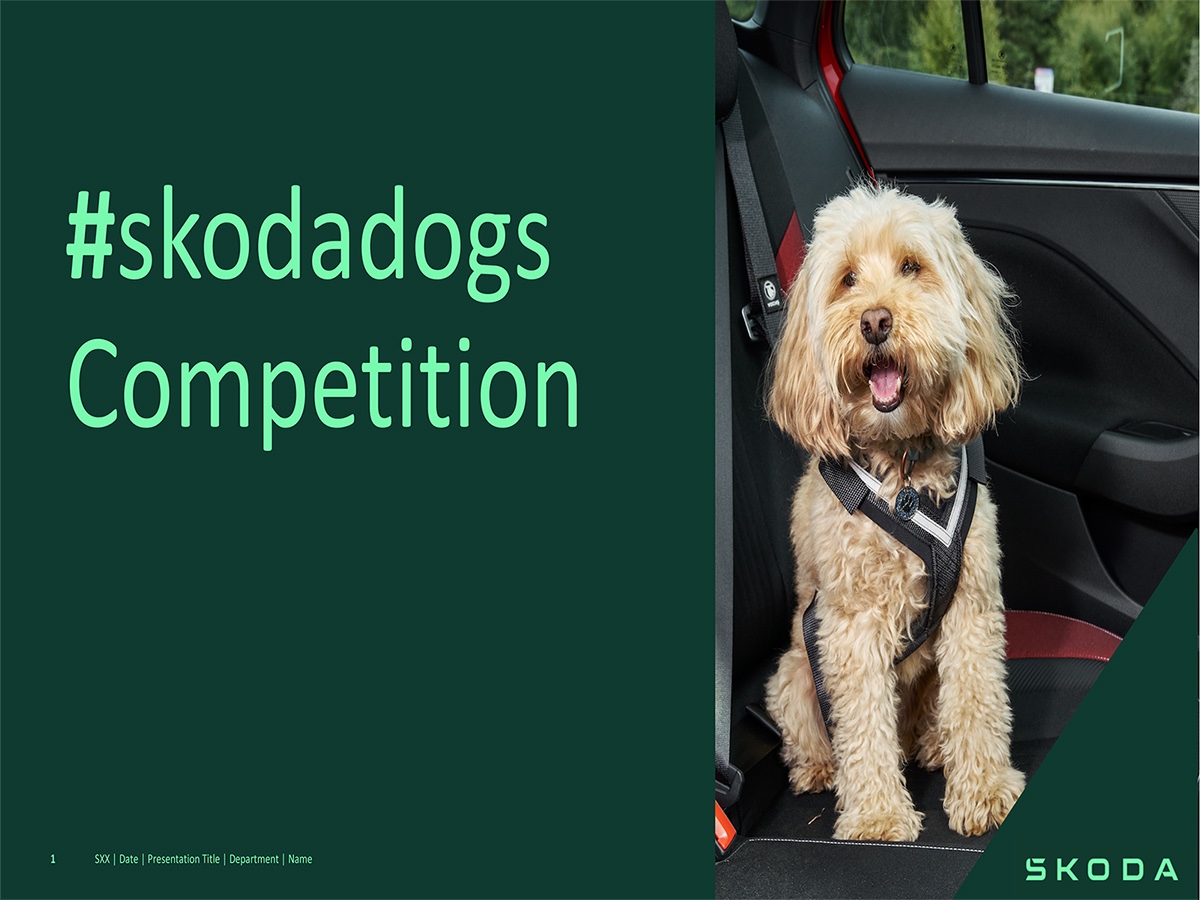 Win a Day At Crufts!